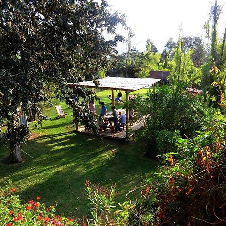 La Casa Del Tilo Bed & Breakfast Hacienda Santa Rosa Dış mekan fotoğraf